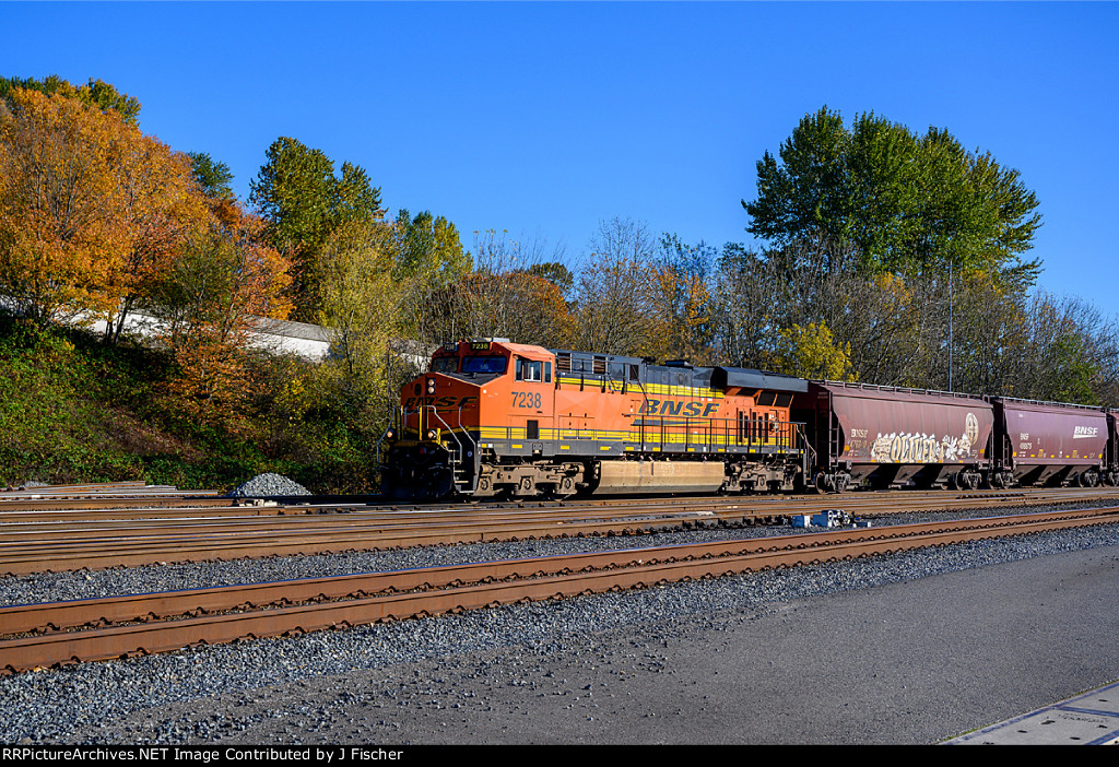 BNSF 7238